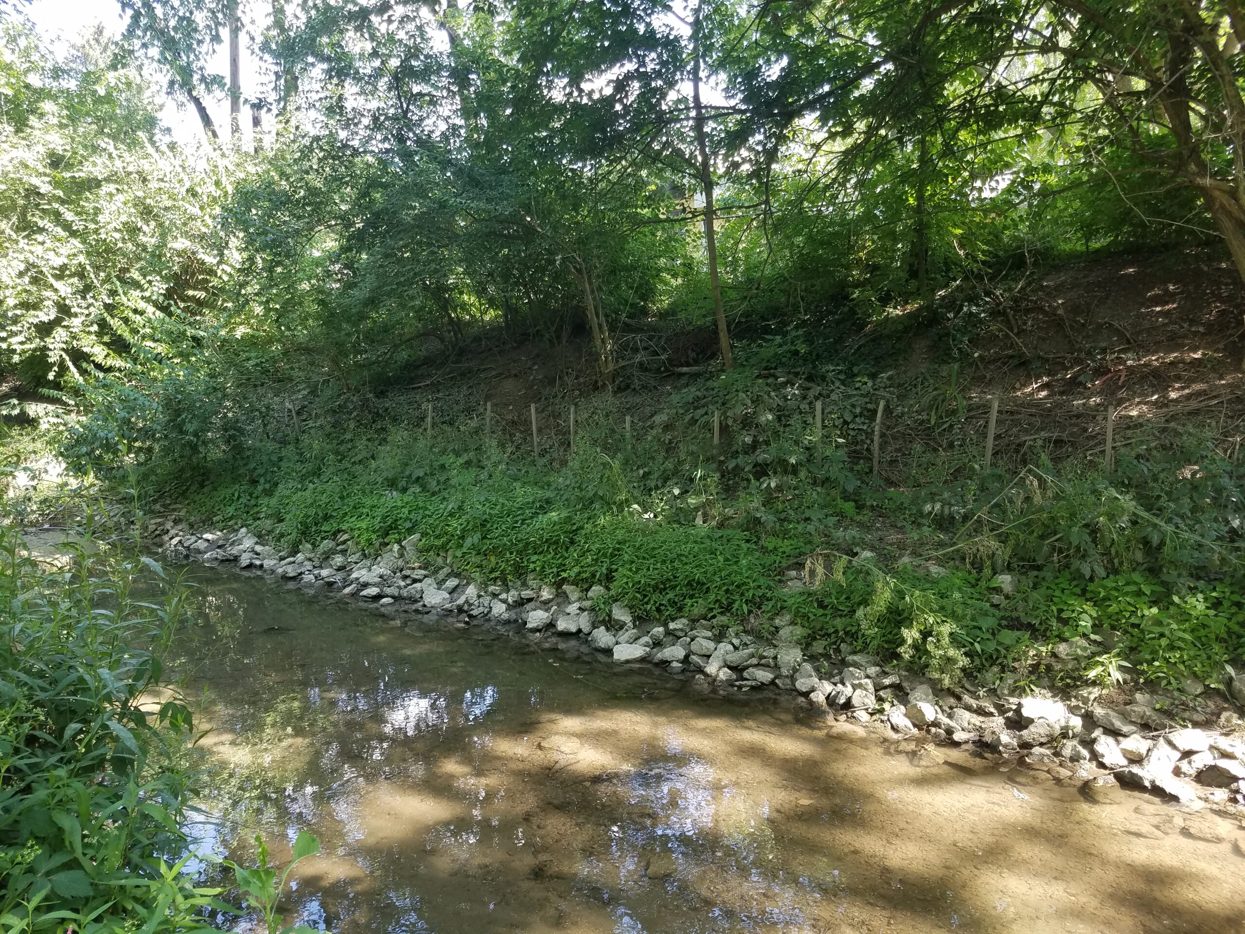 City of Champaign Phinney Branch Bank Stabilization